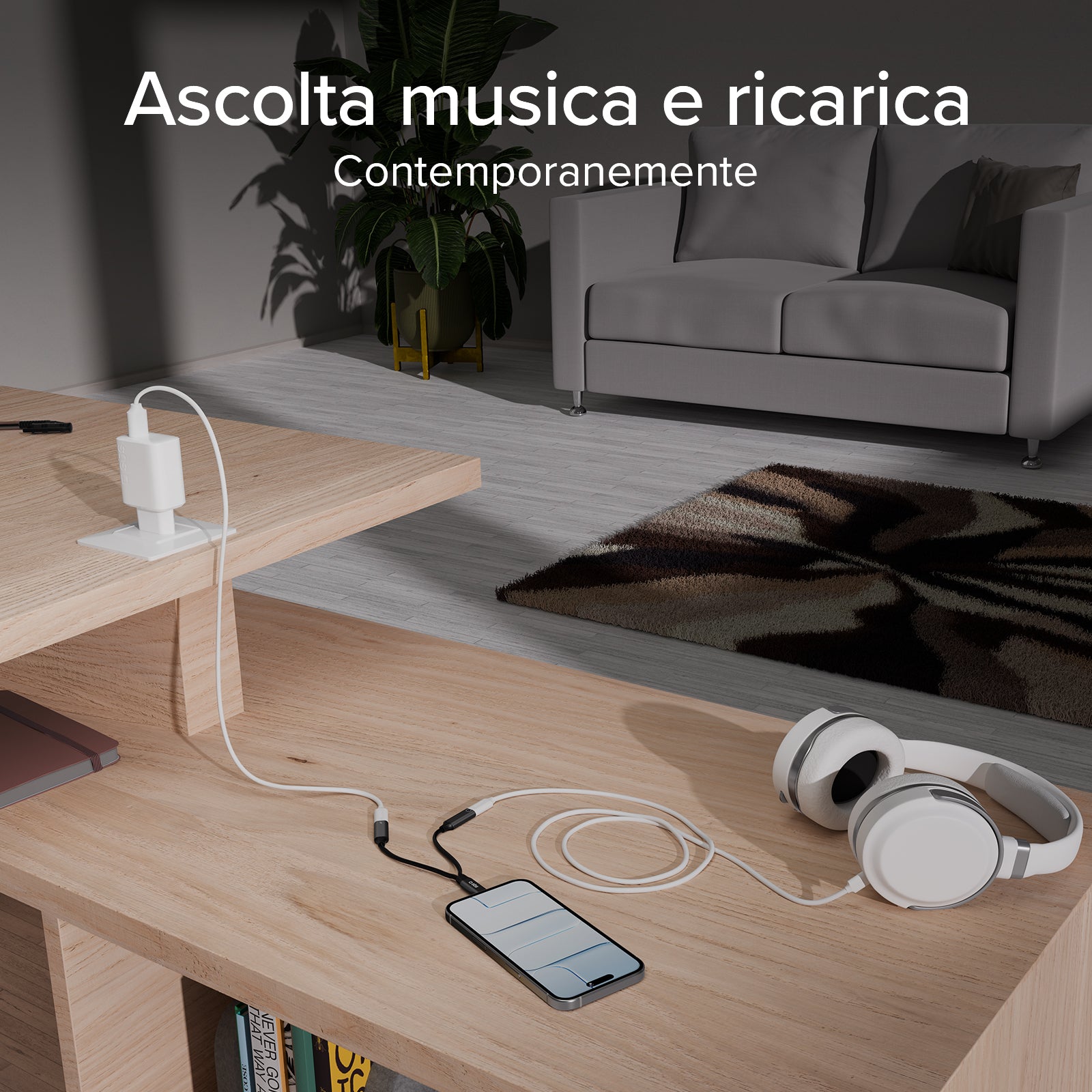 USB-C adapter for simultaneous audio and charging