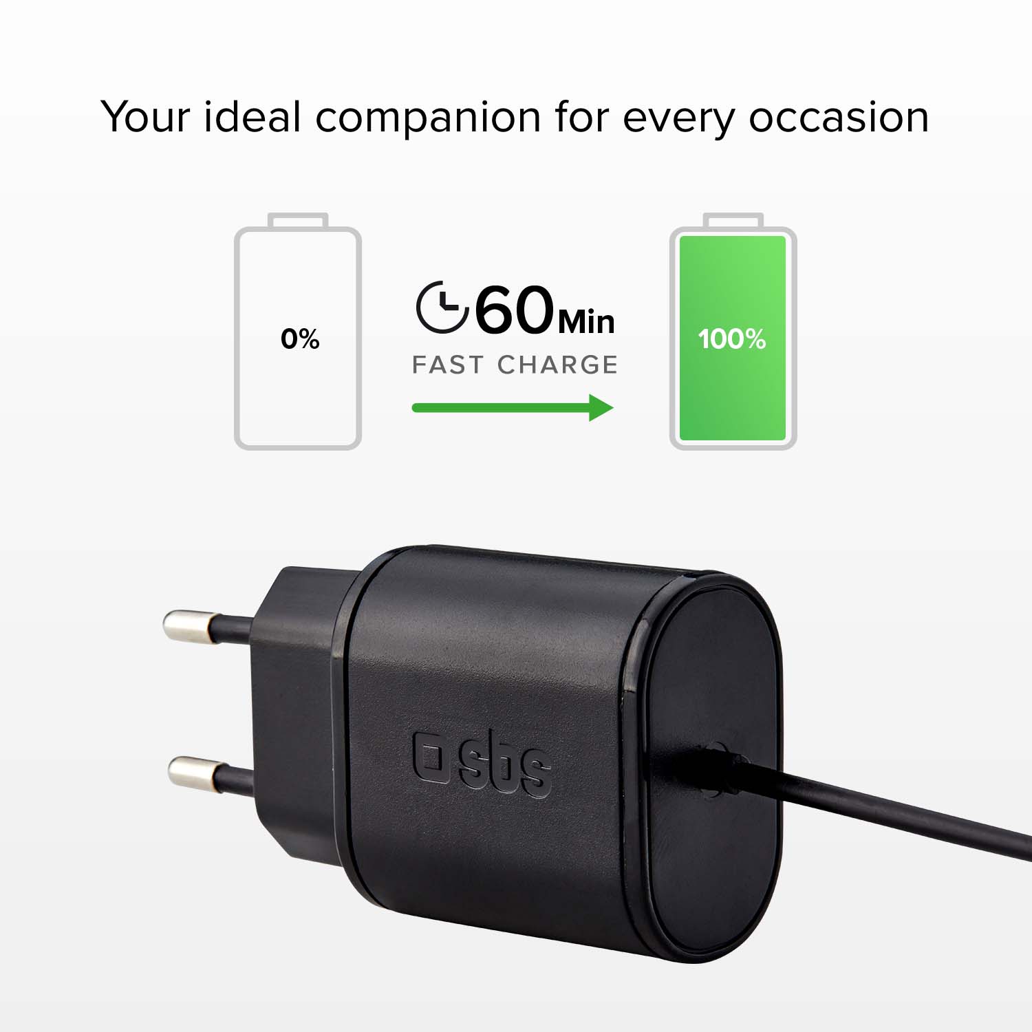 Cargador de viaje de 10W Type C
